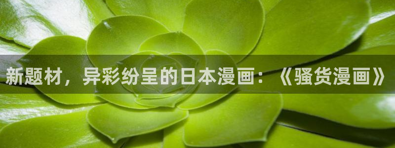 无限魔法师包子漫画全集