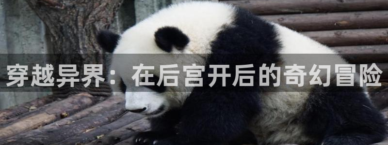 请与我同眠包子漫画