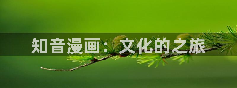 包子漫画在线页面免费：知音漫画：文化的之旅